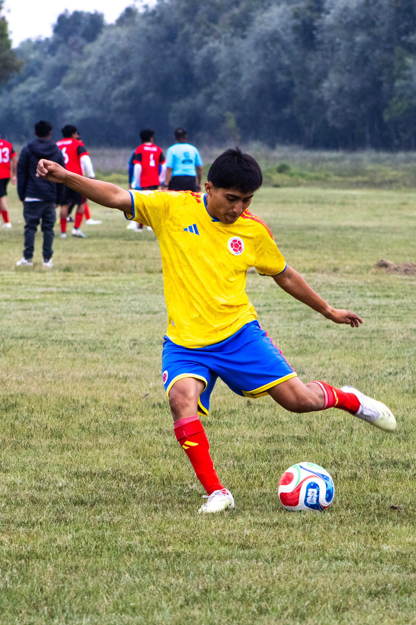 _MG_7966.jpg